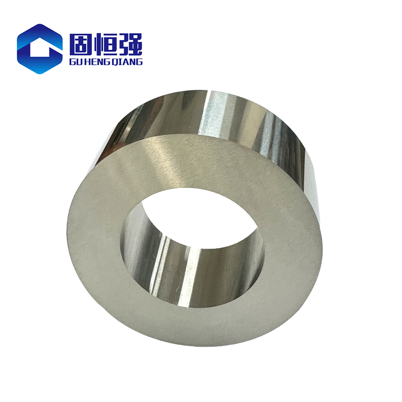 Wear Resistance Tungsten Carbide Seal Ring